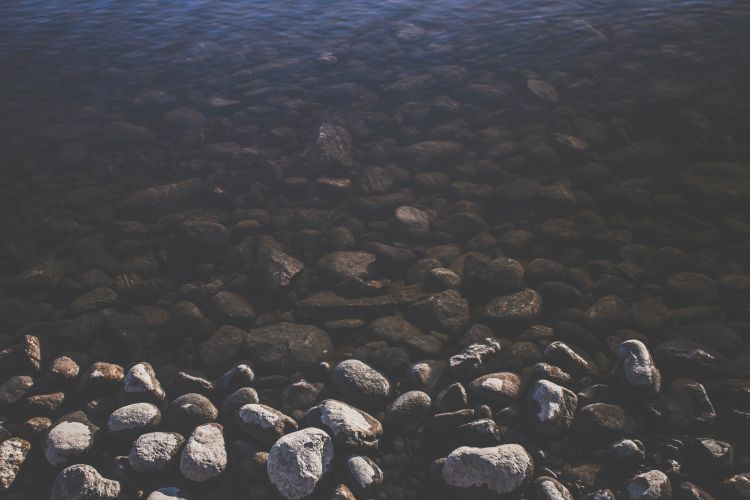 ocean019.jpg