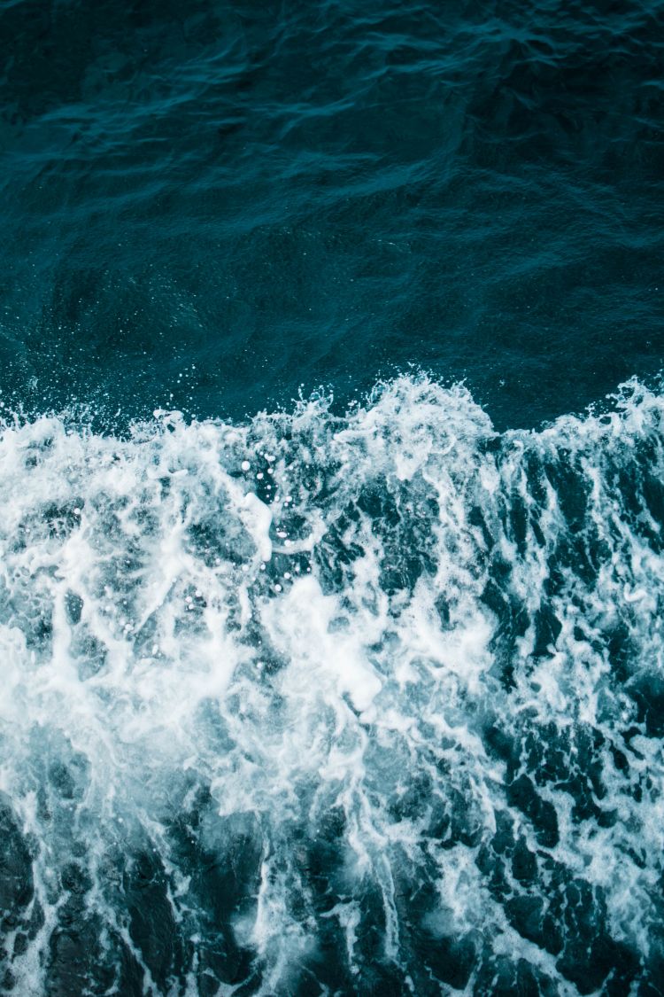 ocean029.jpg