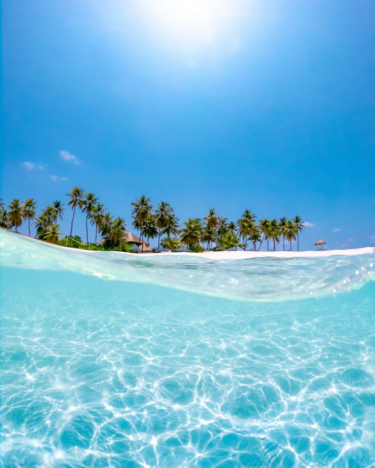 ocean040.jpg