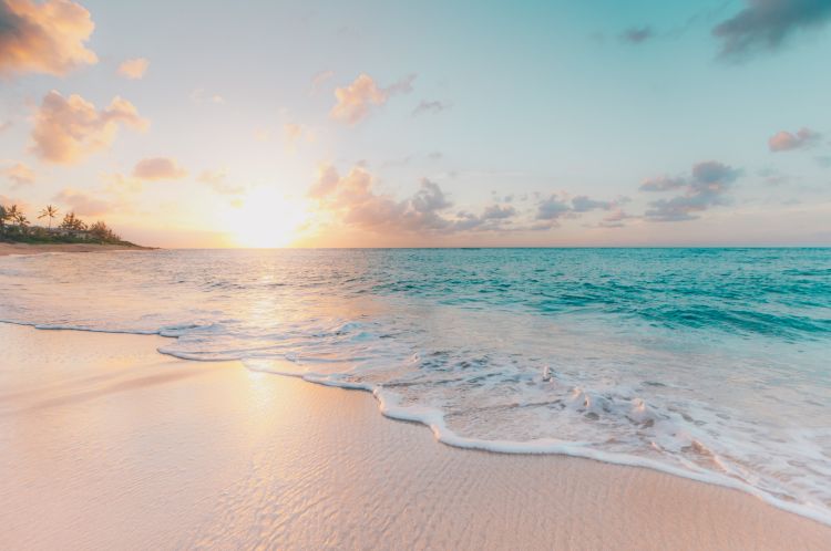 ocean058.jpg