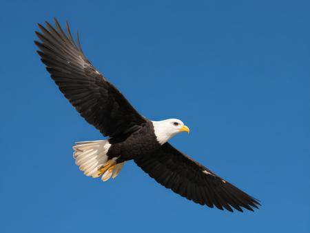 a04b93ef-e275-4e6e-a6e2-3605a5f9ba03.jpg