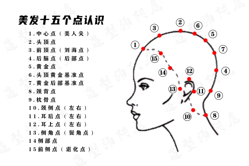 15个点.png