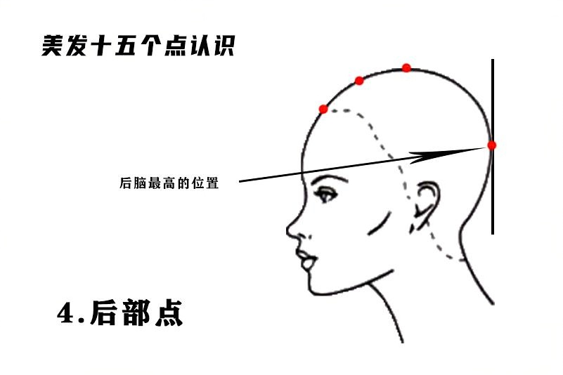 后部点.png