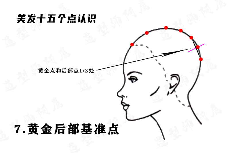 后基准线.png