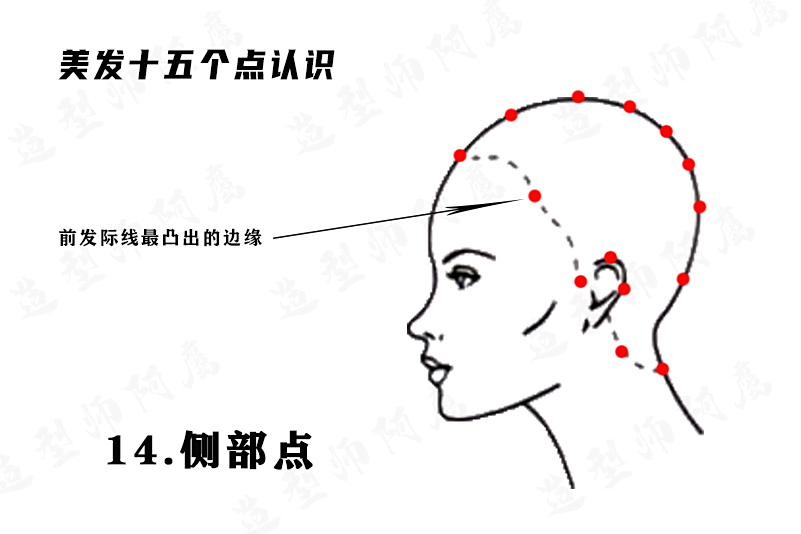 侧部点.png