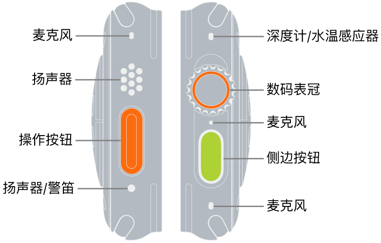 Apple&nbsp;Watch&nbsp;Ultra 的两侧。左图像左侧显示 Apple&nbsp;Watch&nbsp;Ultra 的背面。各个标注从上到下依次指向麦克风、扬声器、操作按钮和警笛发声位置的扬声器端口。右图像右侧显示 Apple&nbsp;Watch&nbsp;Ultra 的背面。各个标注从上到下依次指向深度计/水温感应器、数码表冠、麦克风、侧边按钮和另一个麦克风。