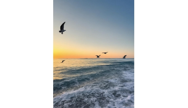 成年人相处潜规则：知人不评人，知事不声张，知理不争辩